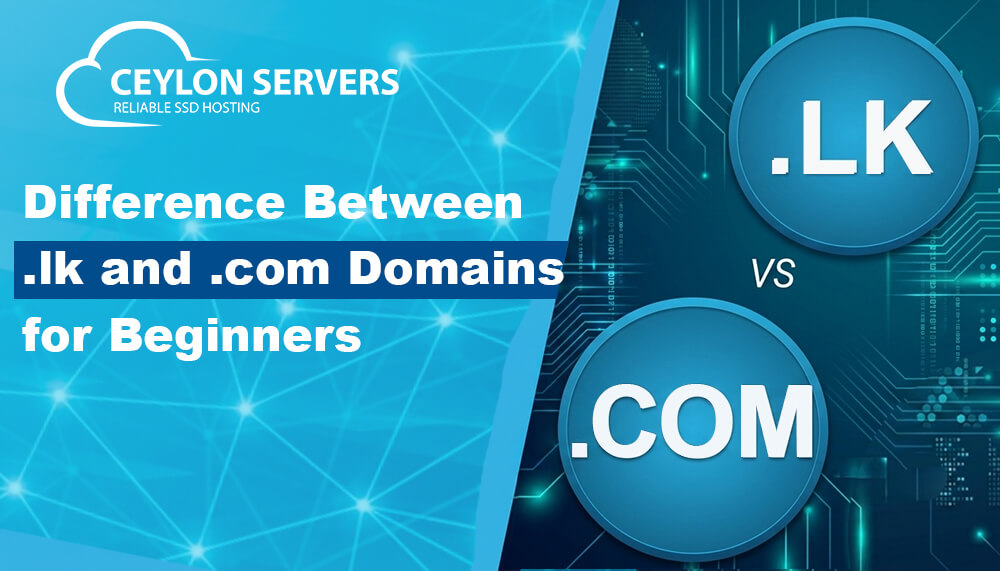 Difference Between .lk and .com Domains for Beginners