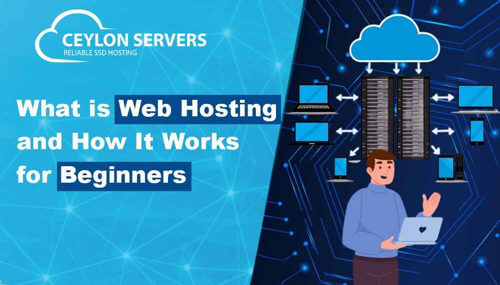 What is Web Hosting and How It Works for Beginners